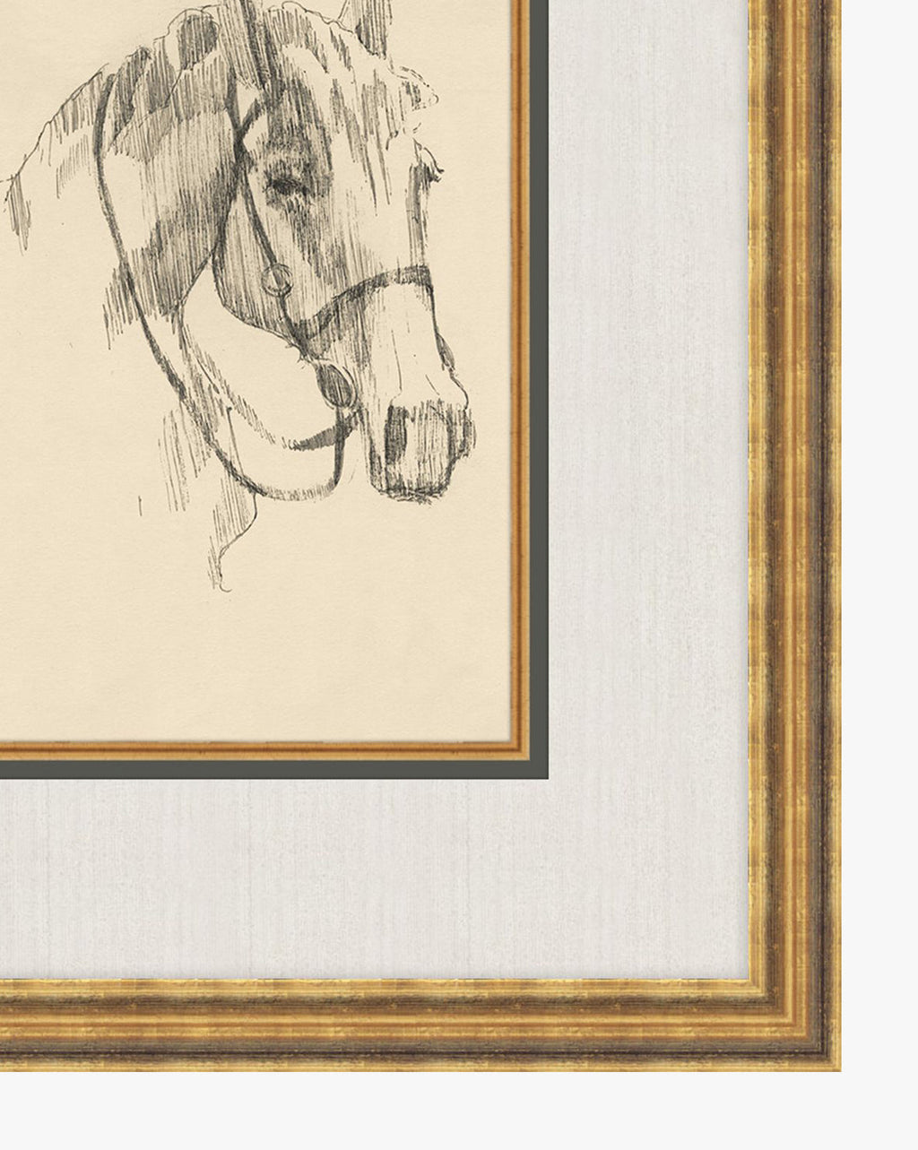 McGee & Co - Equine Lines 3