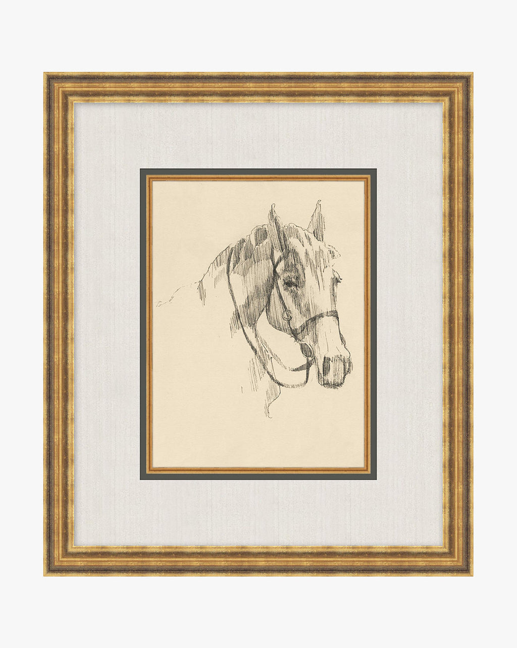 McGee & Co - Equine Lines 3