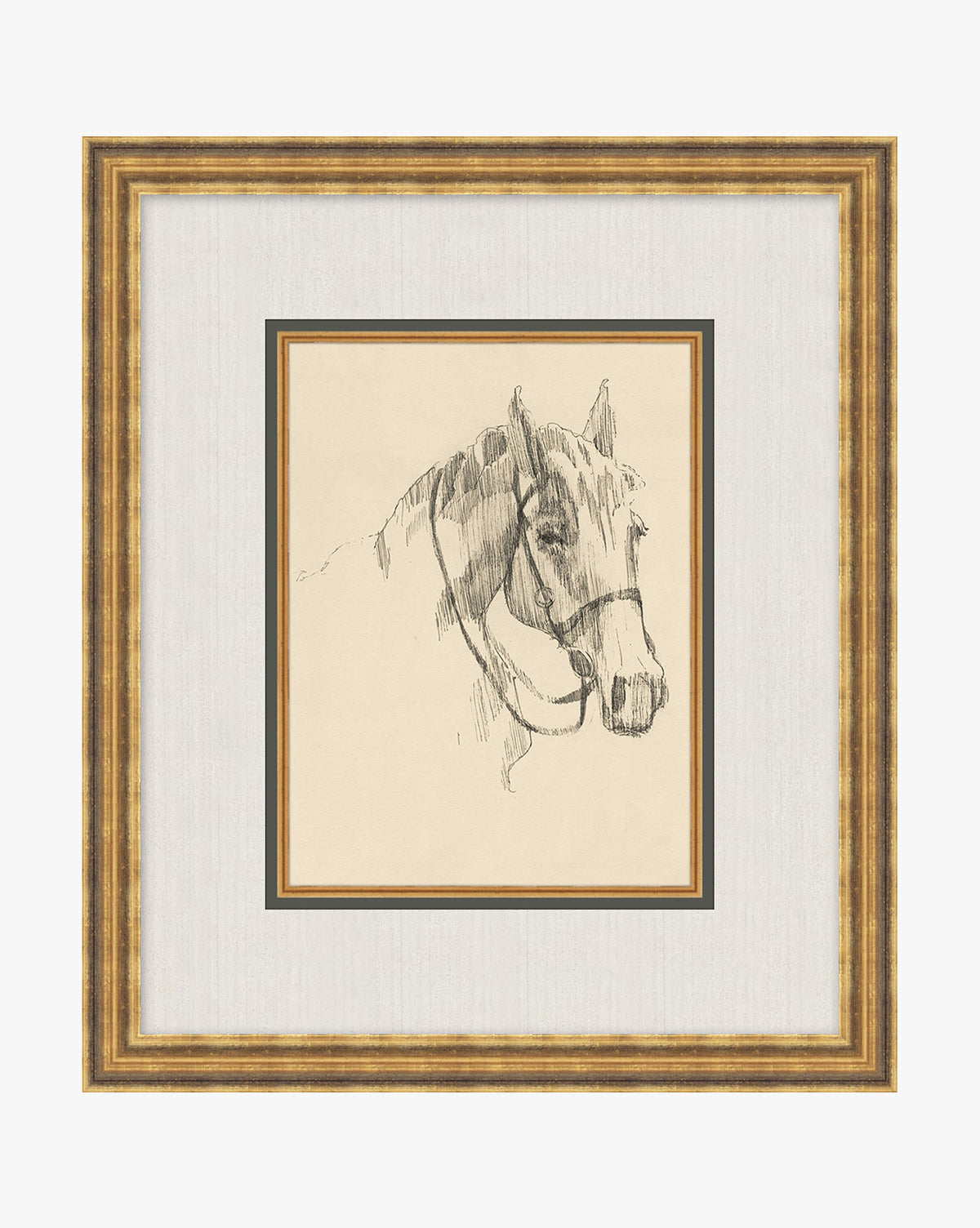 McGee & Co - Equine Lines 3