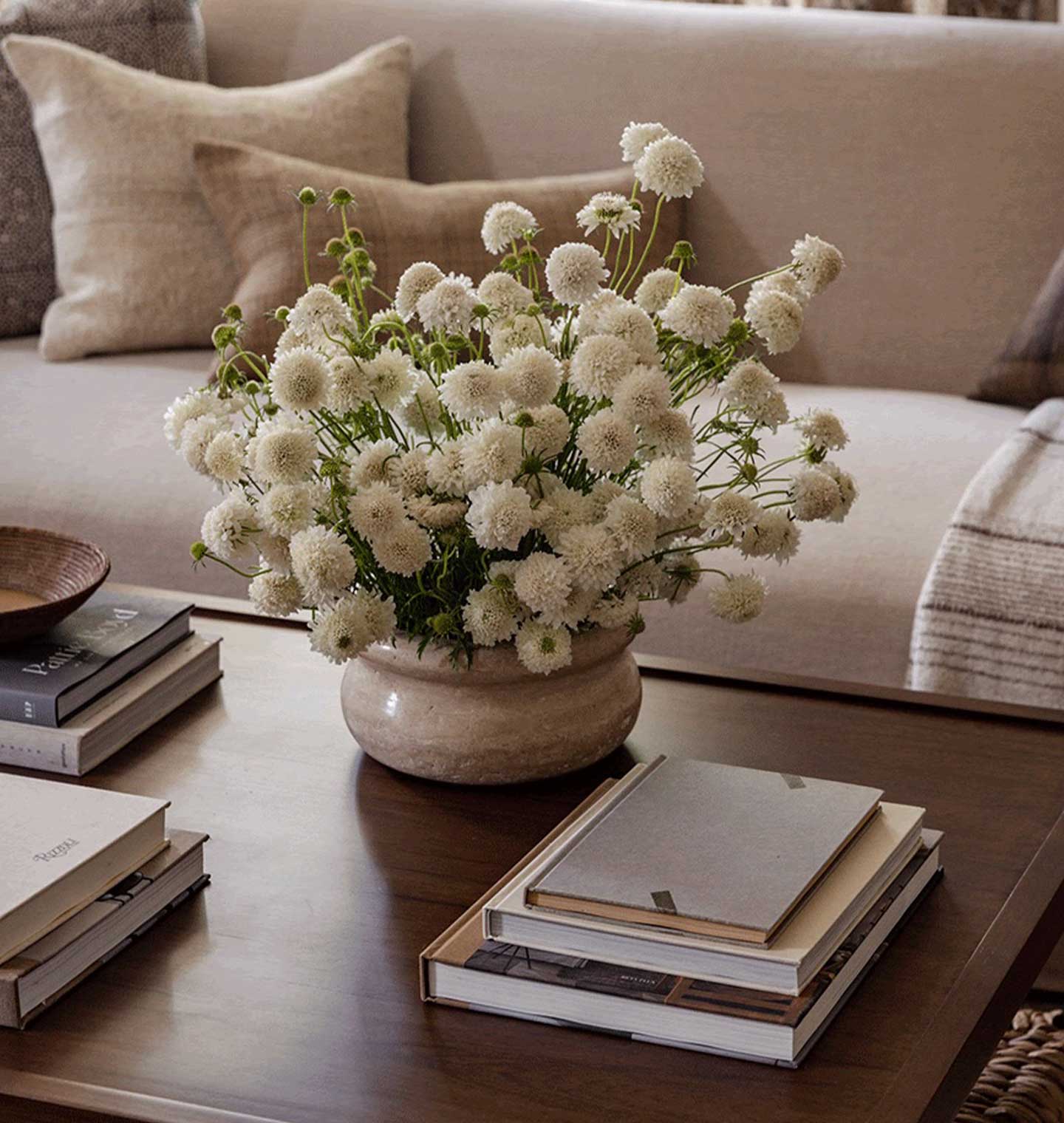 Amber Interiors - Calli Travertine Bowl