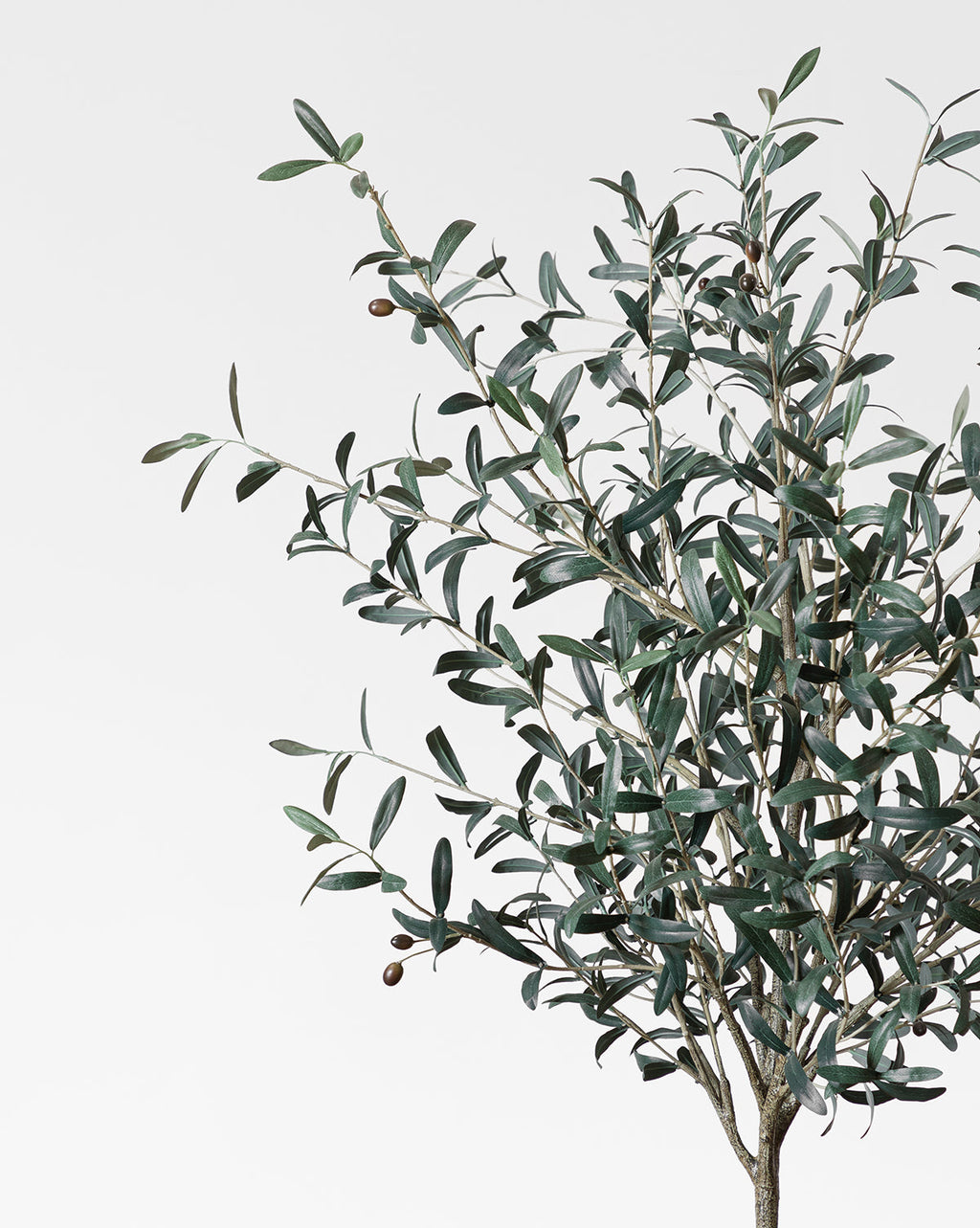 McGee & Co - Faux 72" Olive Tree with Ceramic Pot