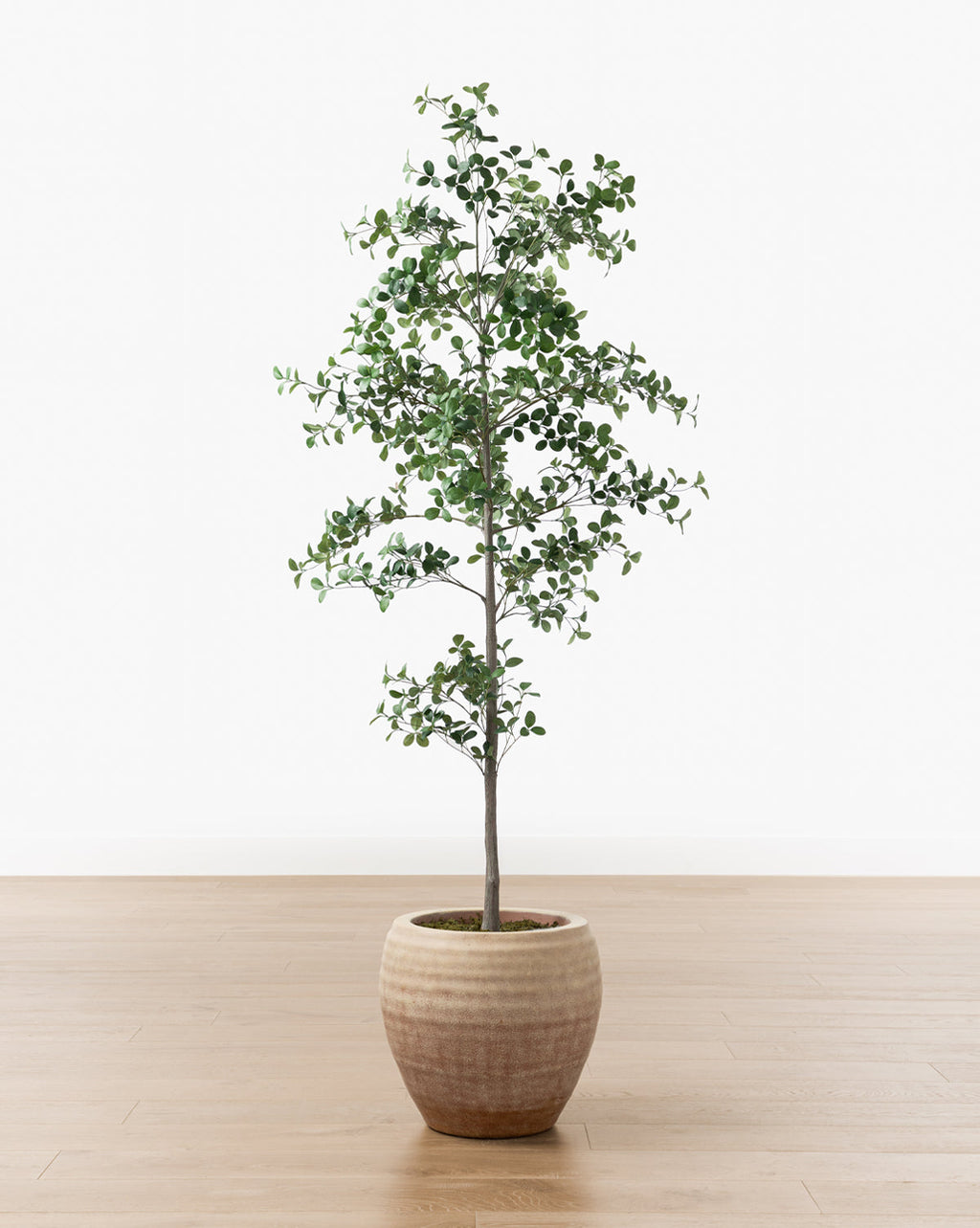 McGee & Co - Faux Cascalote Tree