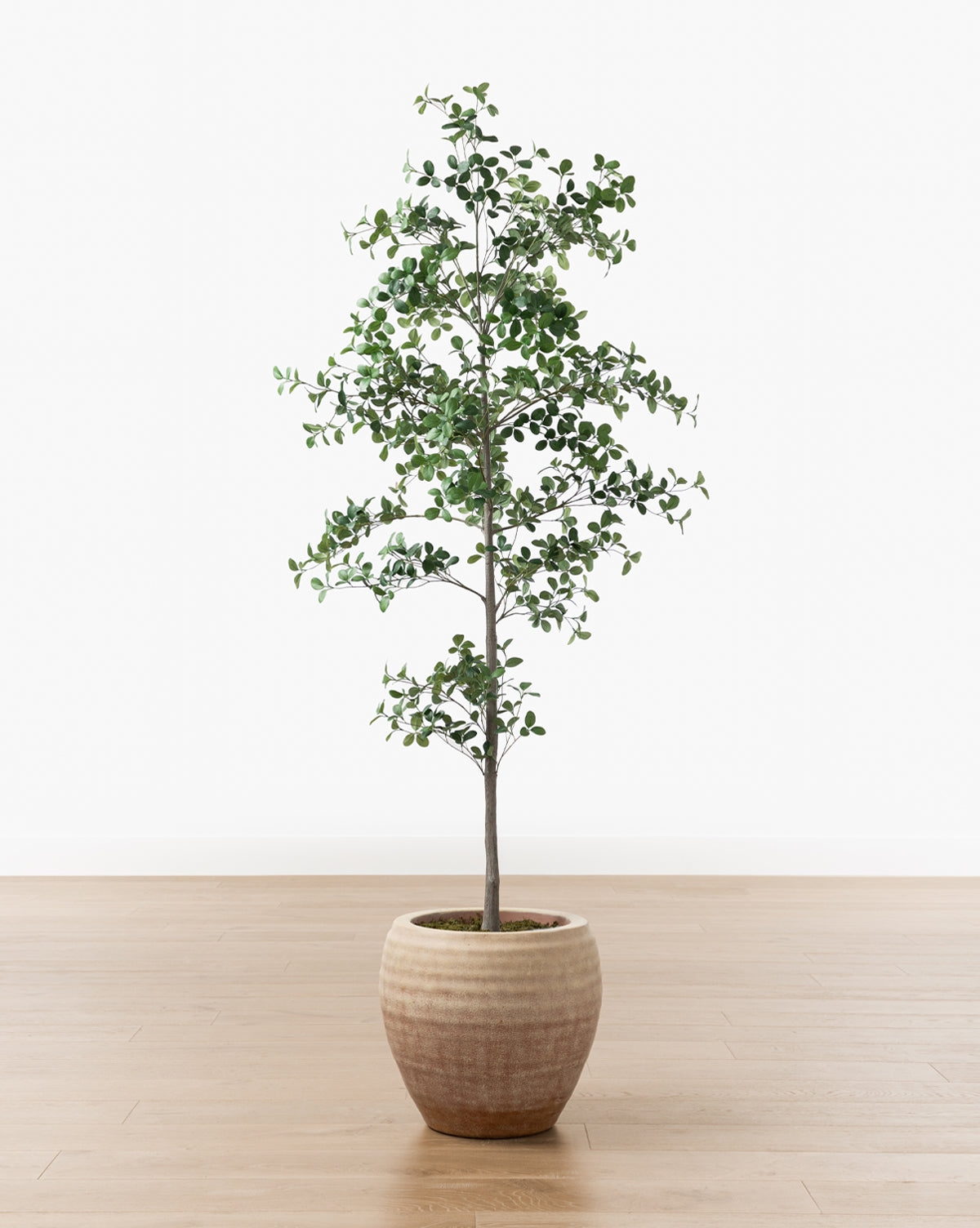 McGee & Co - Faux Cascalote Tree