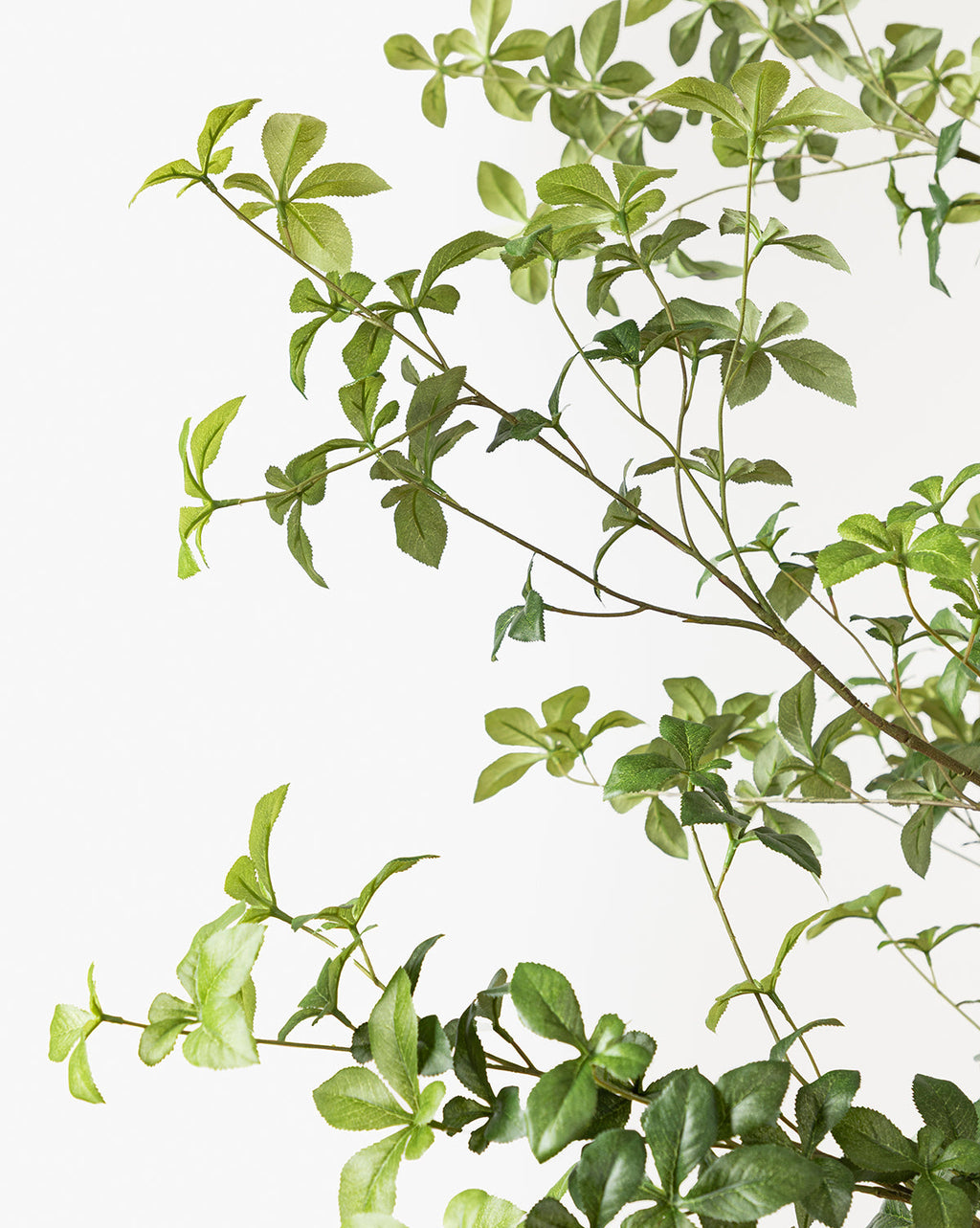 McGee & Co - Faux Japanese Quince Tree