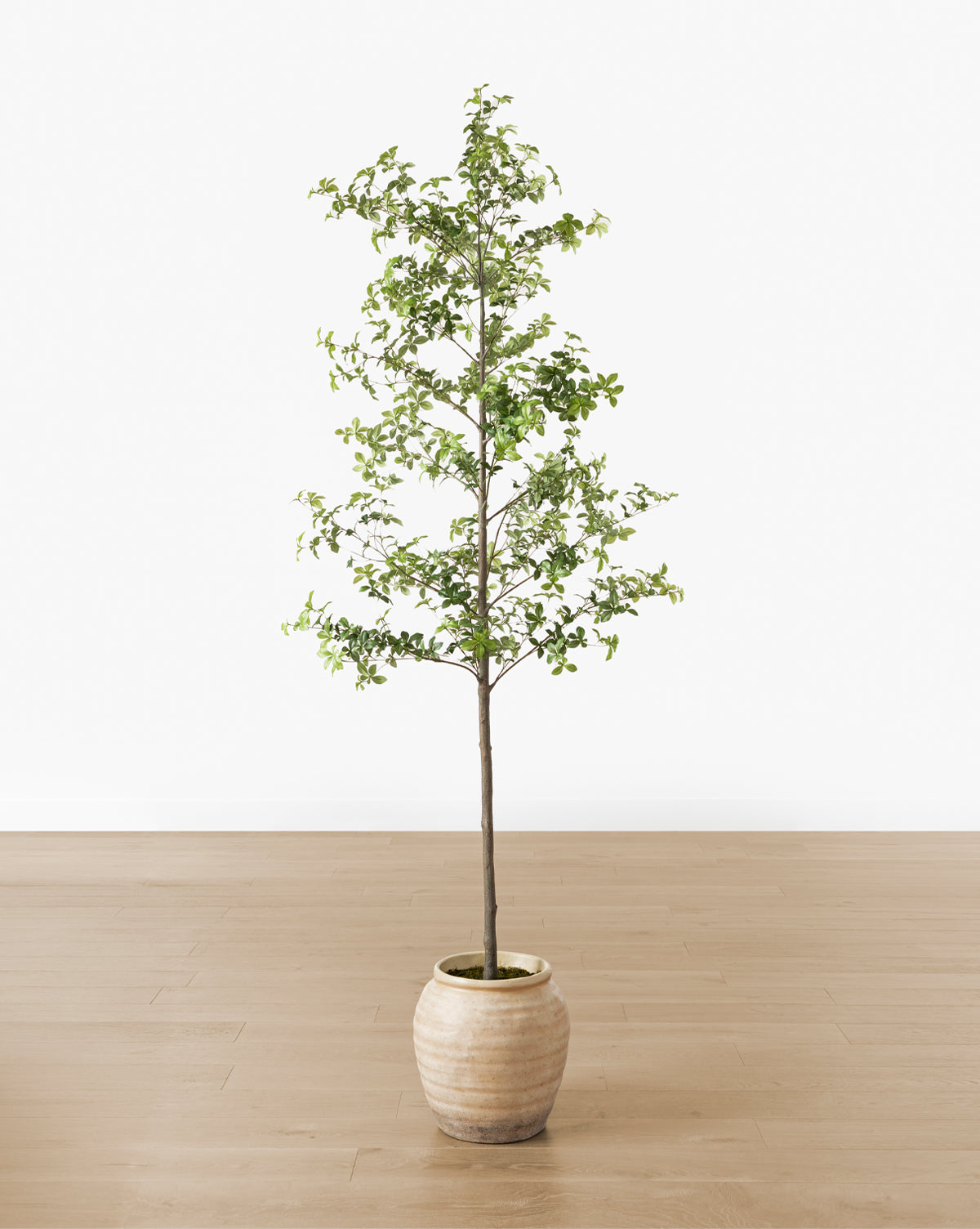 McGee & Co - Faux Japanese Quince Tree