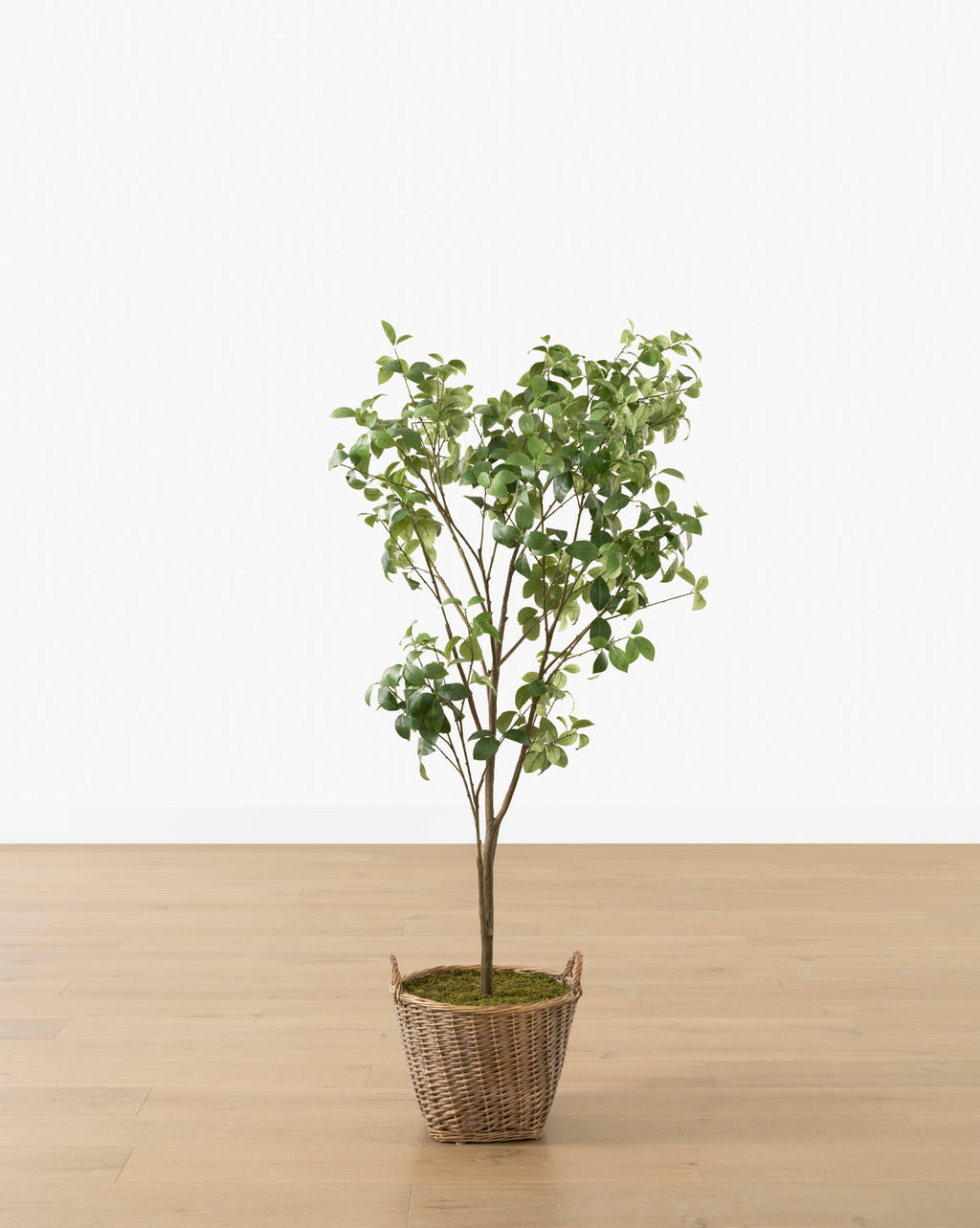 McGee & Co - Faux Tangerine Tree