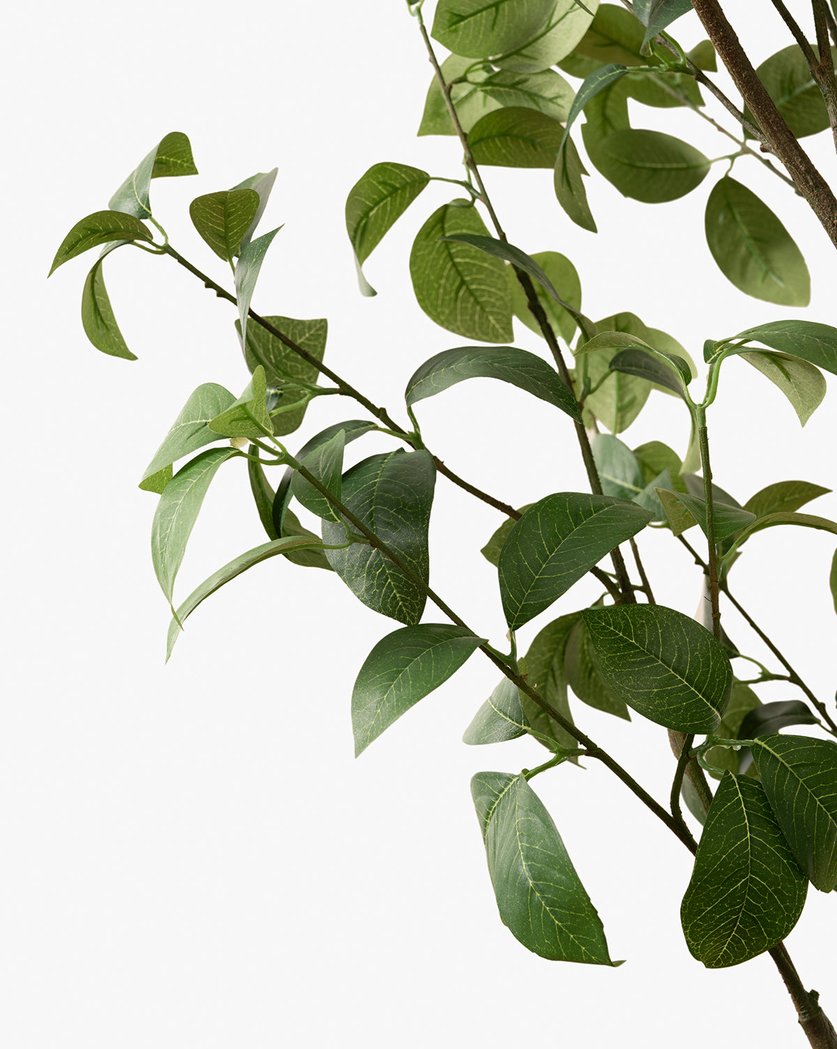 McGee & Co - Faux Tangerine Tree