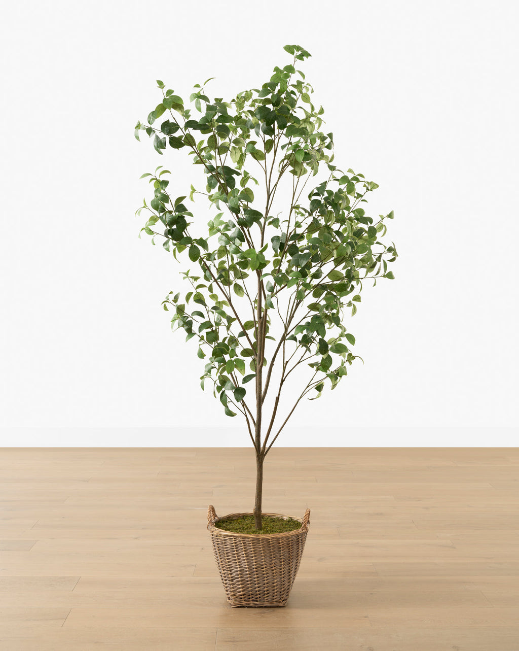 McGee & Co - Faux Tangerine Tree