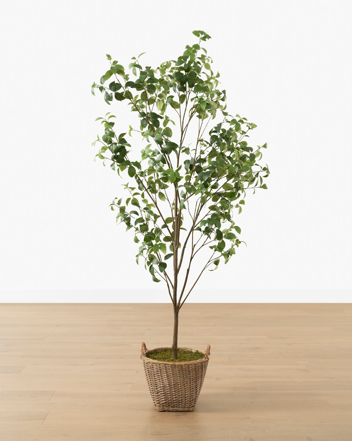 McGee & Co - Faux Tangerine Tree
