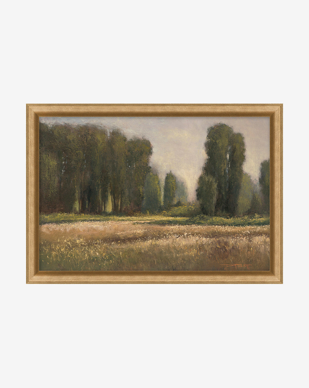 McGee & Co - Field in Summer