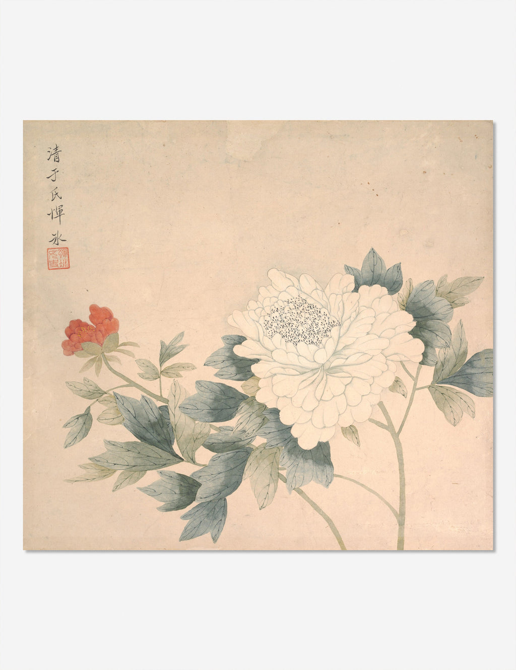 Lulu and Georgia - Flower Study 2 Print by Yun Bing