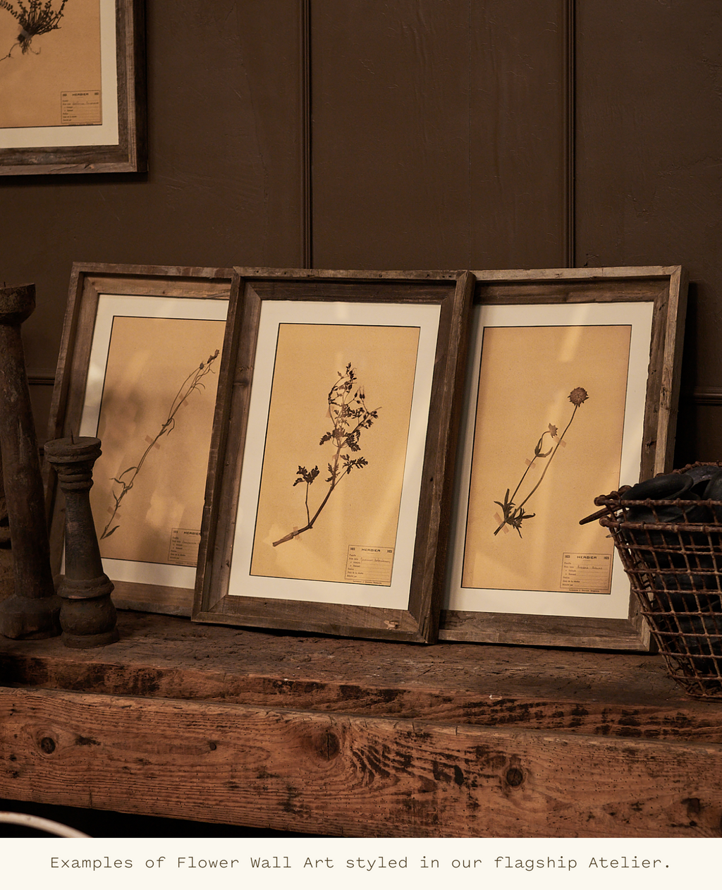 Olive Ateliers - Les Fleurs du Temps - Assorted