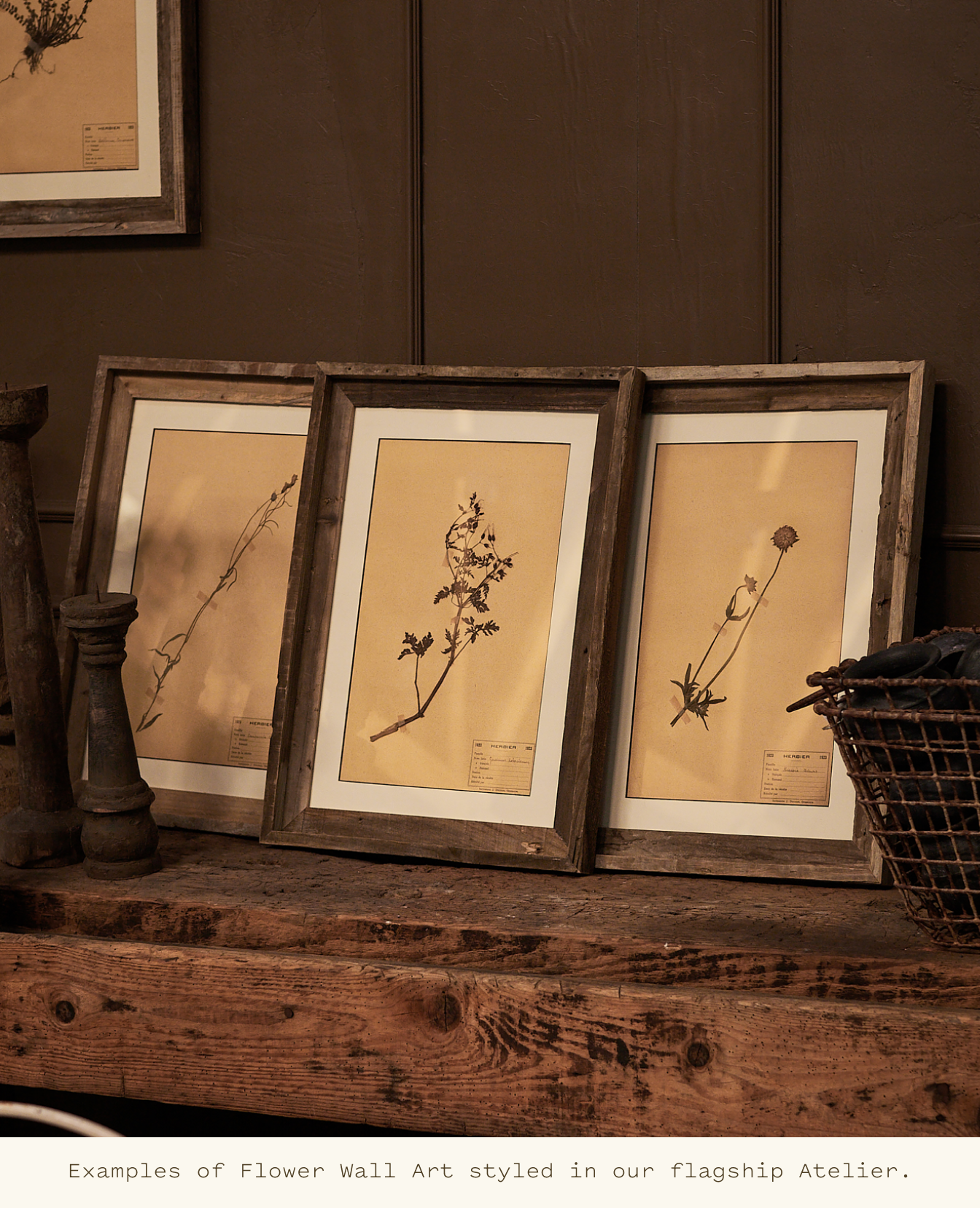 Olive Ateliers - Les Fleurs du Temps - Assorted