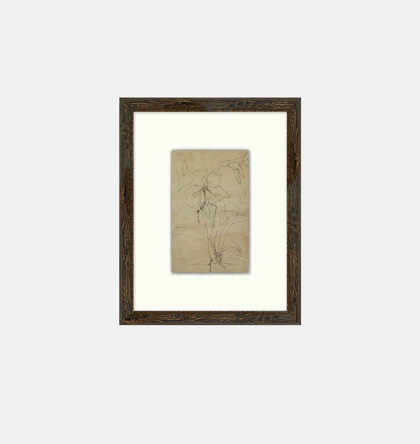 Amber Interiors - Flower Drawn 1 Framed Print