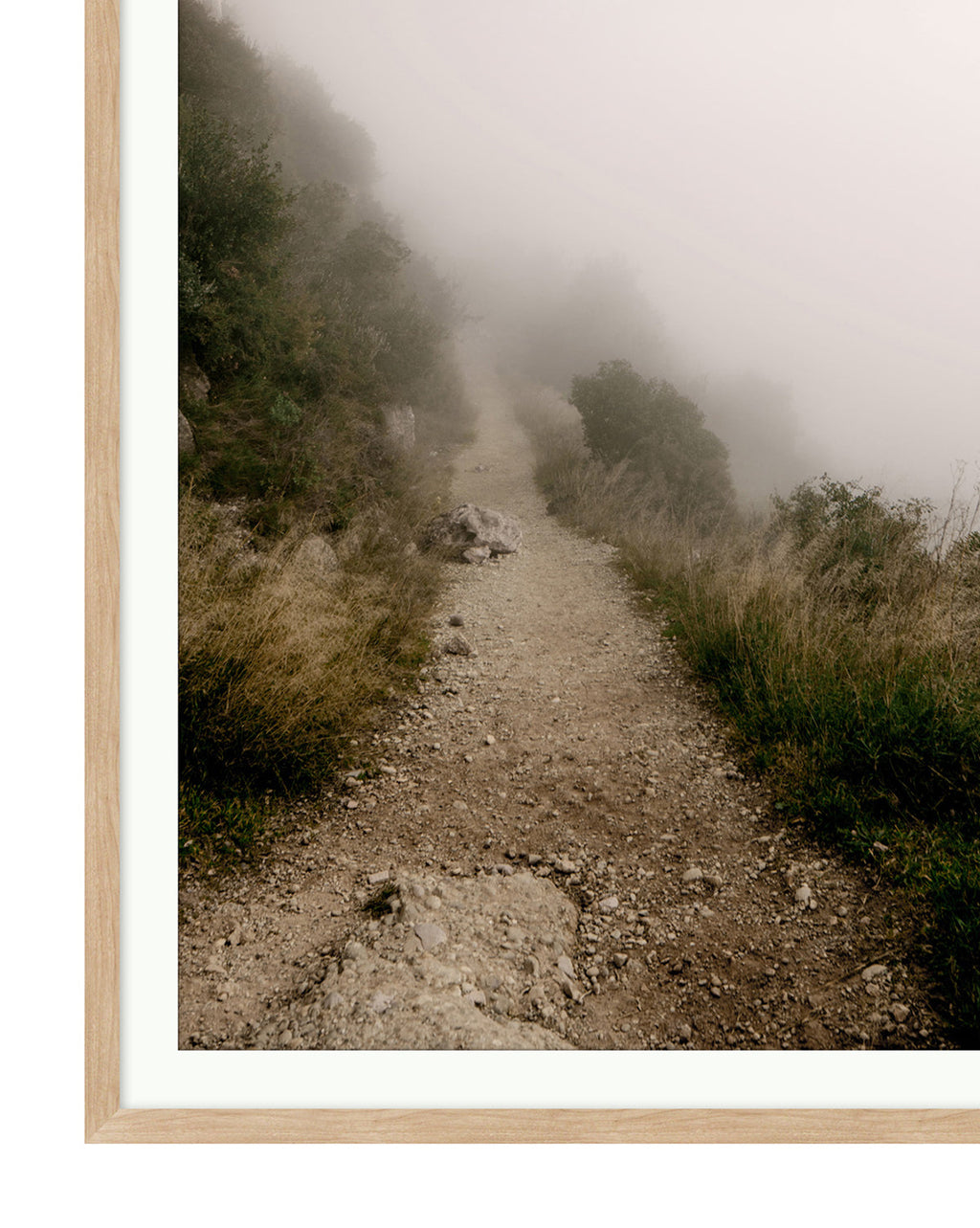 McGee & Co - Foggy Path