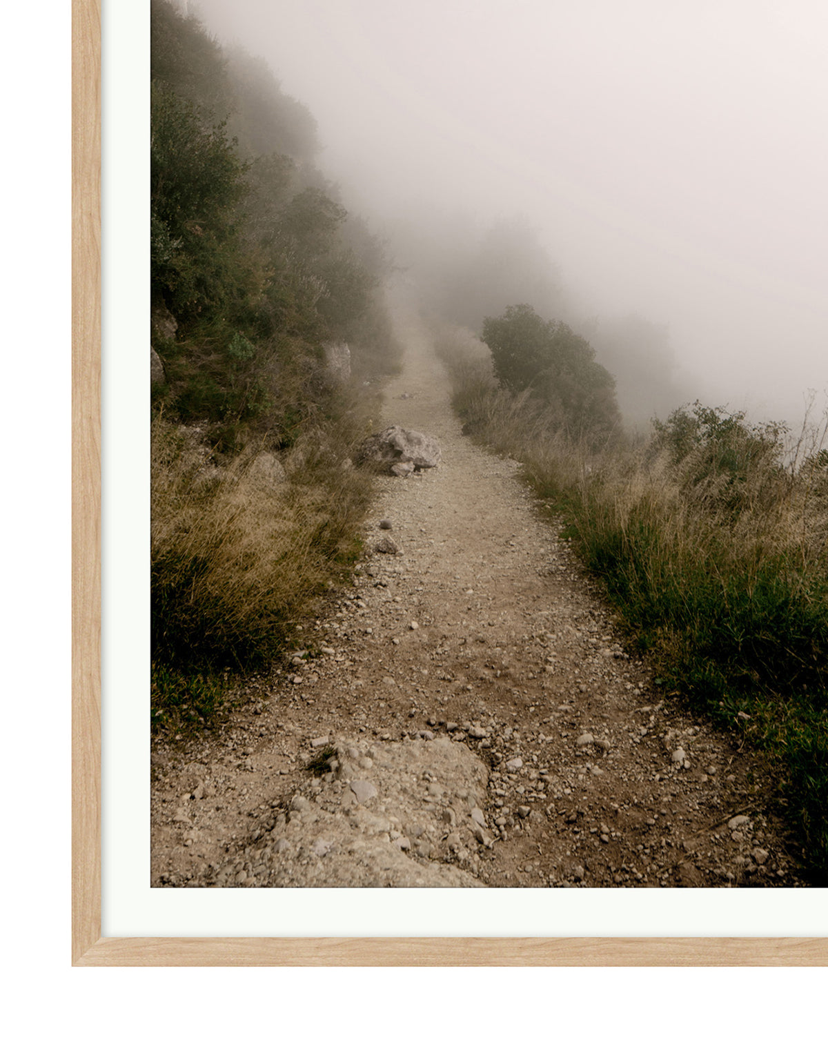 McGee & Co - Foggy Path