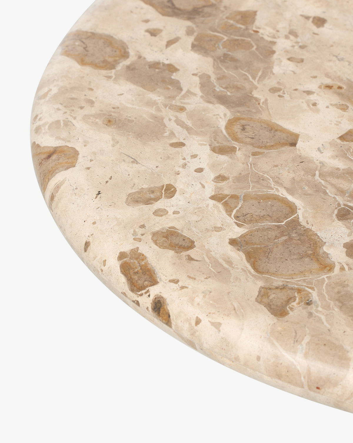 McGee & Co - Fossil Marble End Table