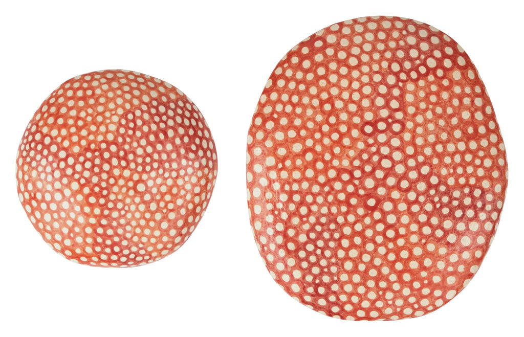 Jayson Home - Astier de Villatte Mushrooms
