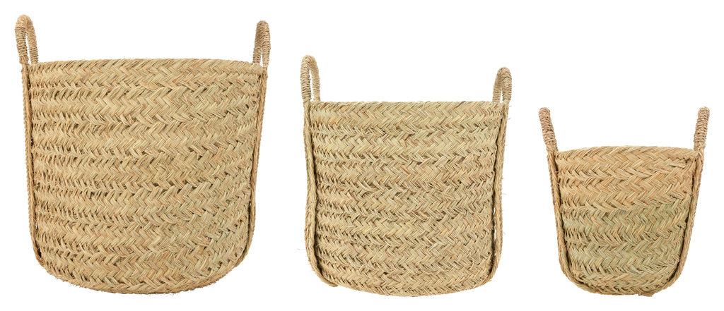 Jayson Home - Nador Baskets