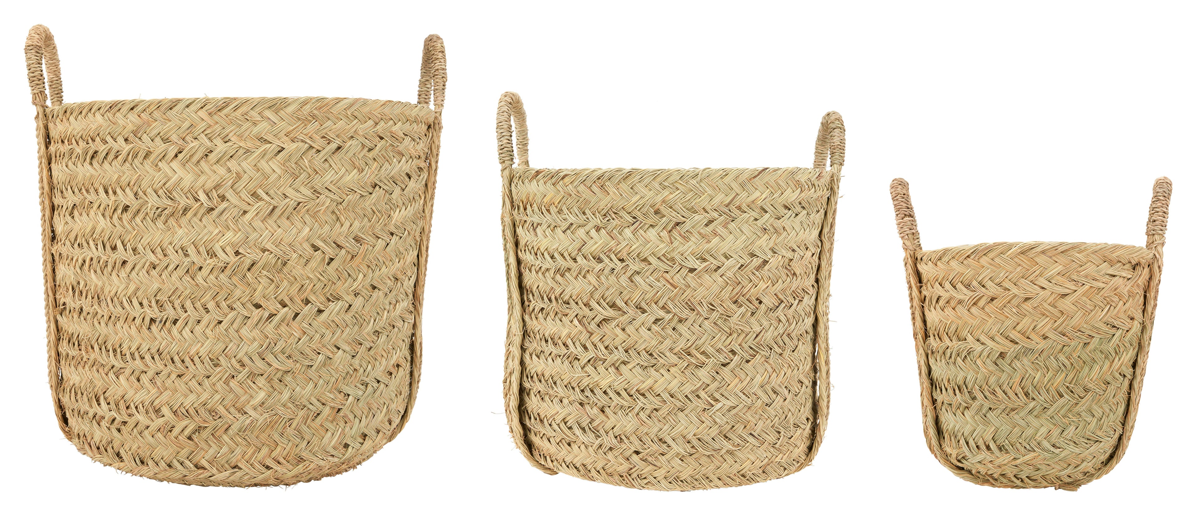 Jayson Home - Nador Baskets