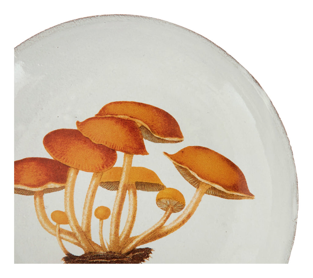 Jayson Home - Astier de Villatte Agaric Amer Soup Bowl