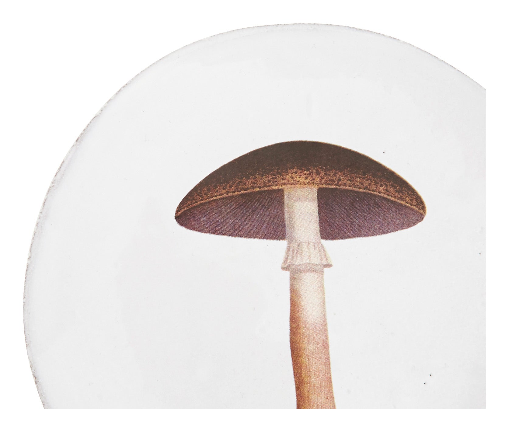 Jayson Home - Astier de Villatte Mauve Champignon Plate