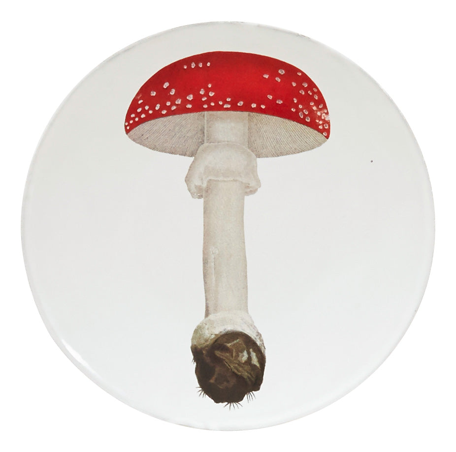 Jayson Home - Astier de Villatte Agaric Fausse Plate