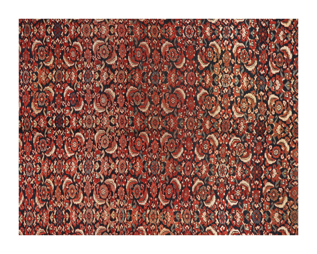 Jayson Home - Vintage Bidjar Rug - 6'2" x 4'10"