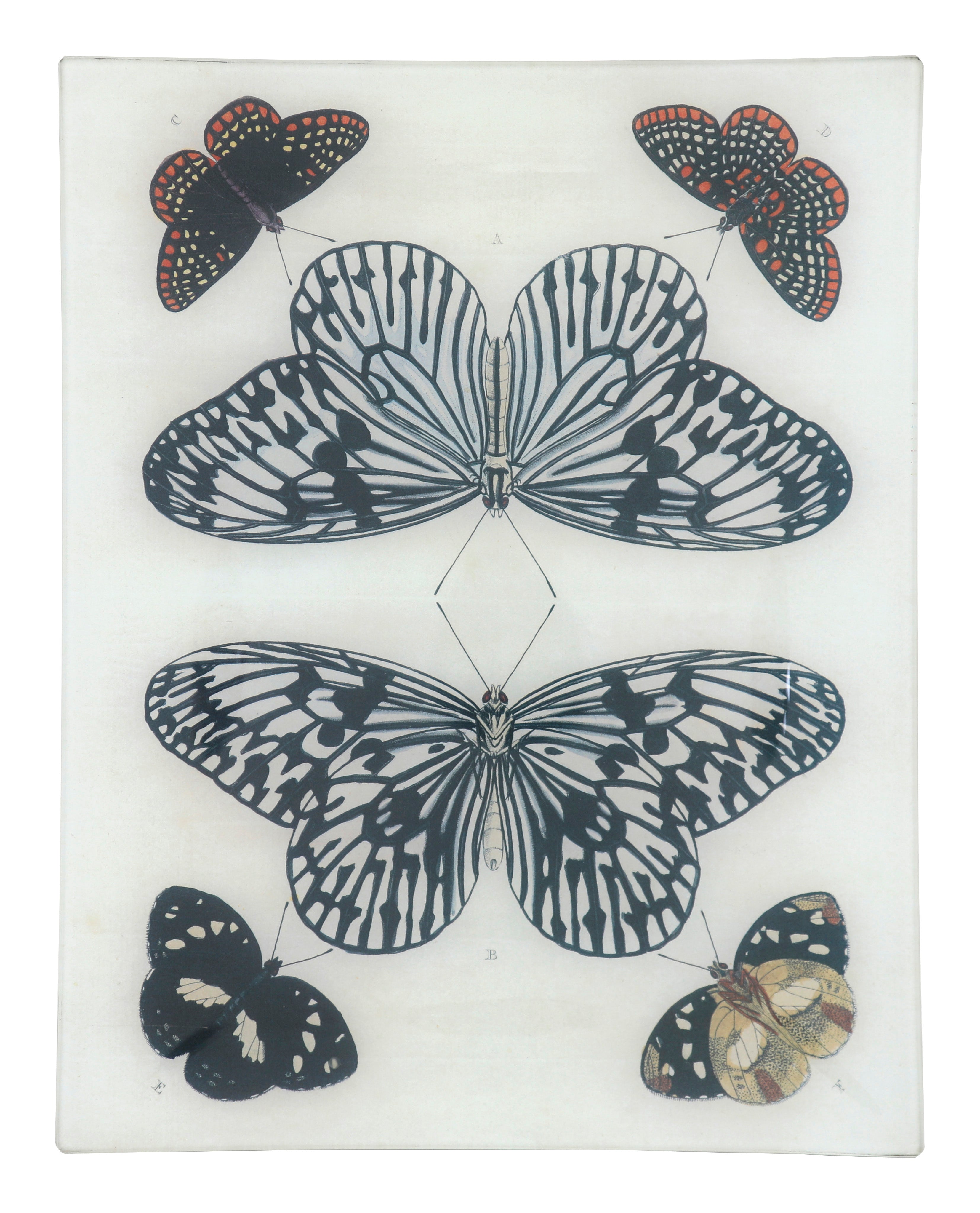 Jayson Home - Mirrored Butterfly Tray