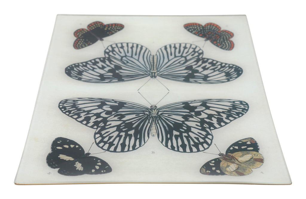 Jayson Home - Mirrored Butterfly Tray