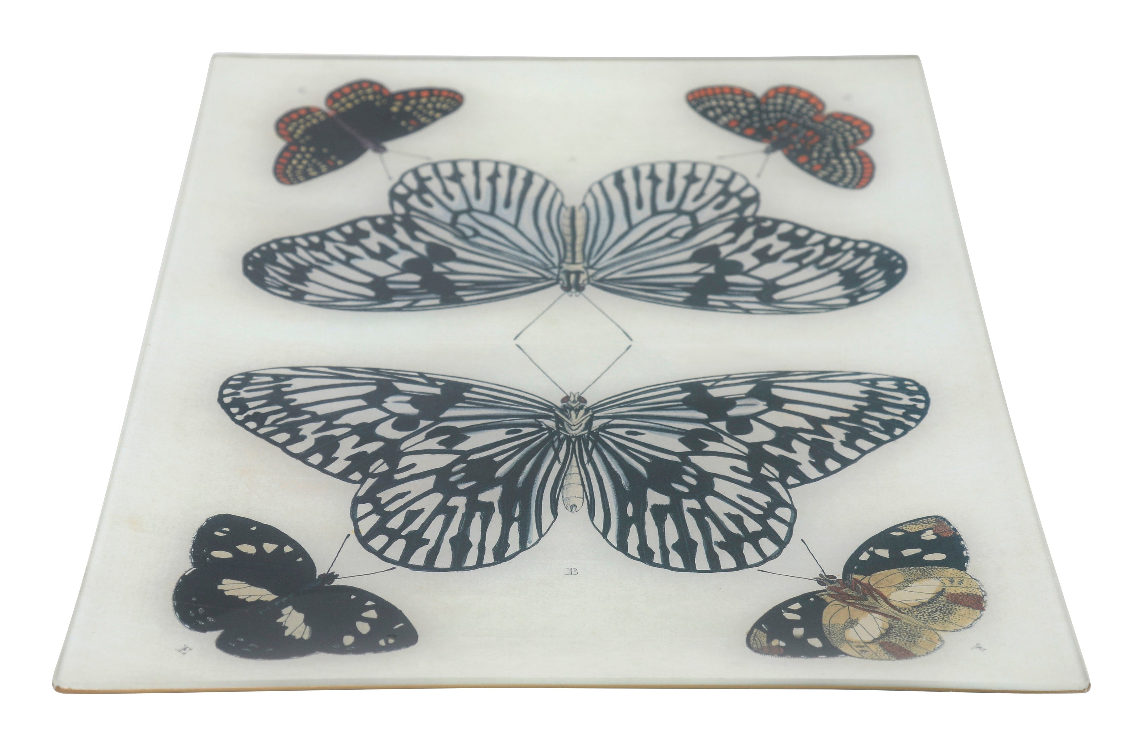 Jayson Home - Mirrored Butterfly Tray