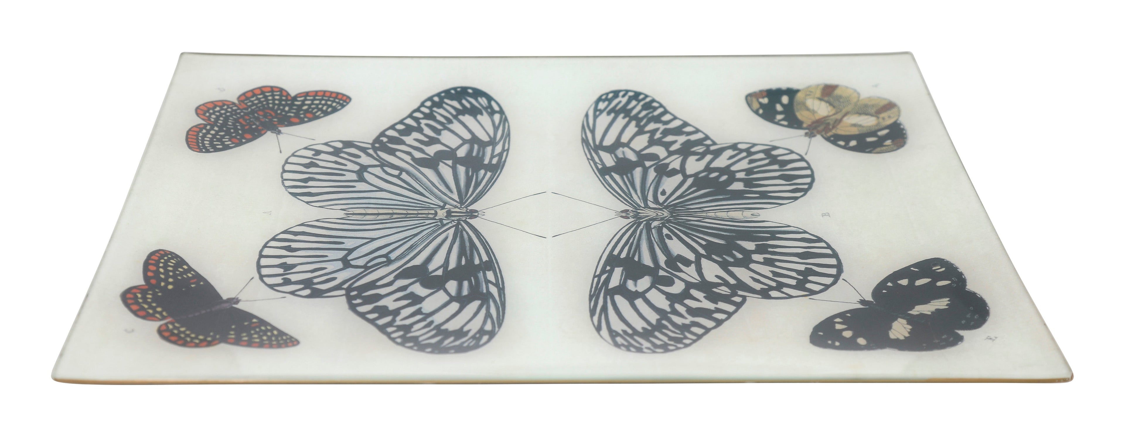 Jayson Home - Mirrored Butterfly Tray