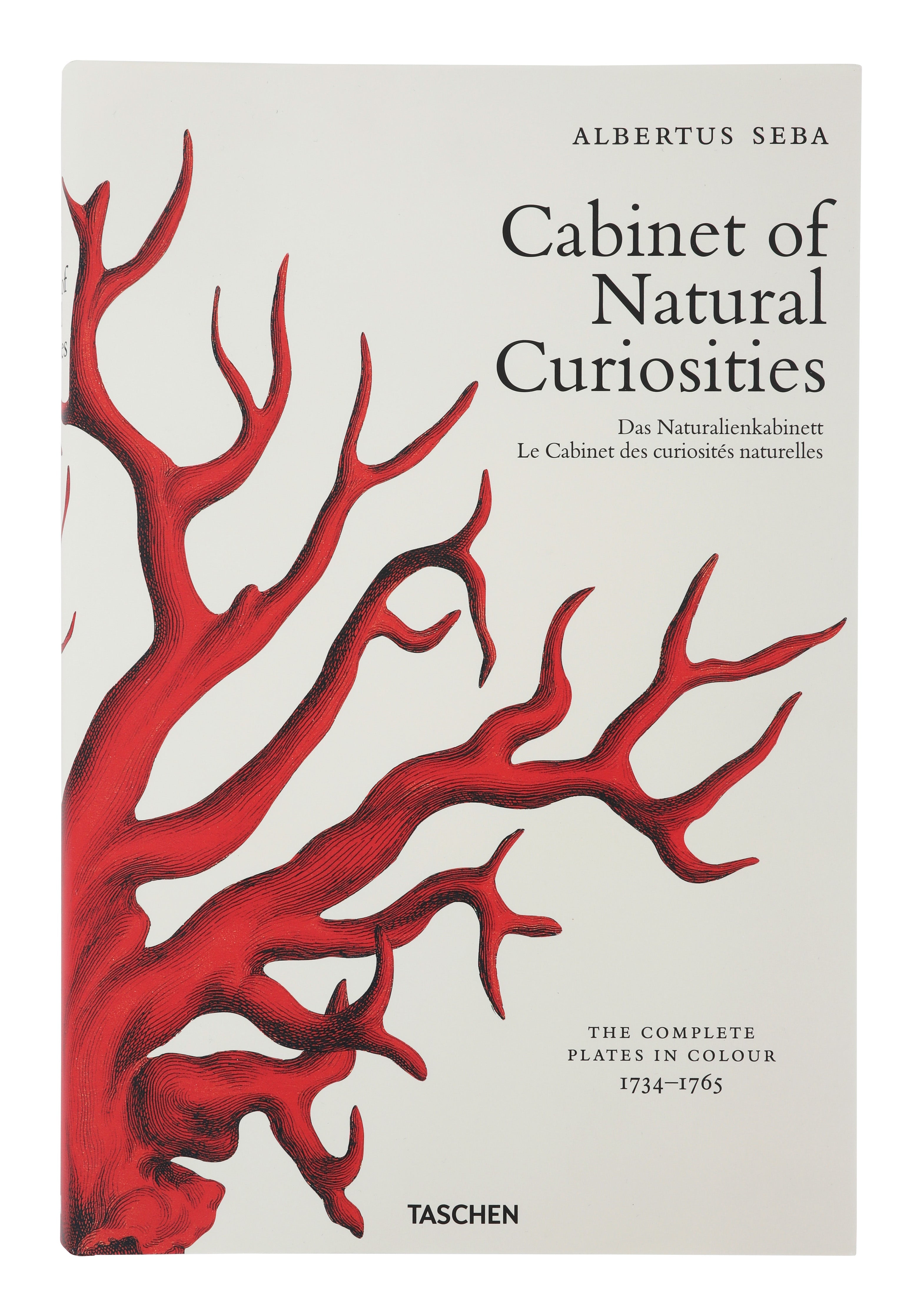 Jayson Home - Cabinet of Natural Curiosities