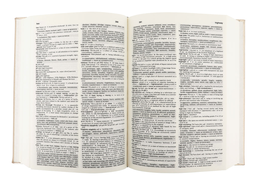 Jayson Home - Vermeil Leather Dictionary & Thesaurus