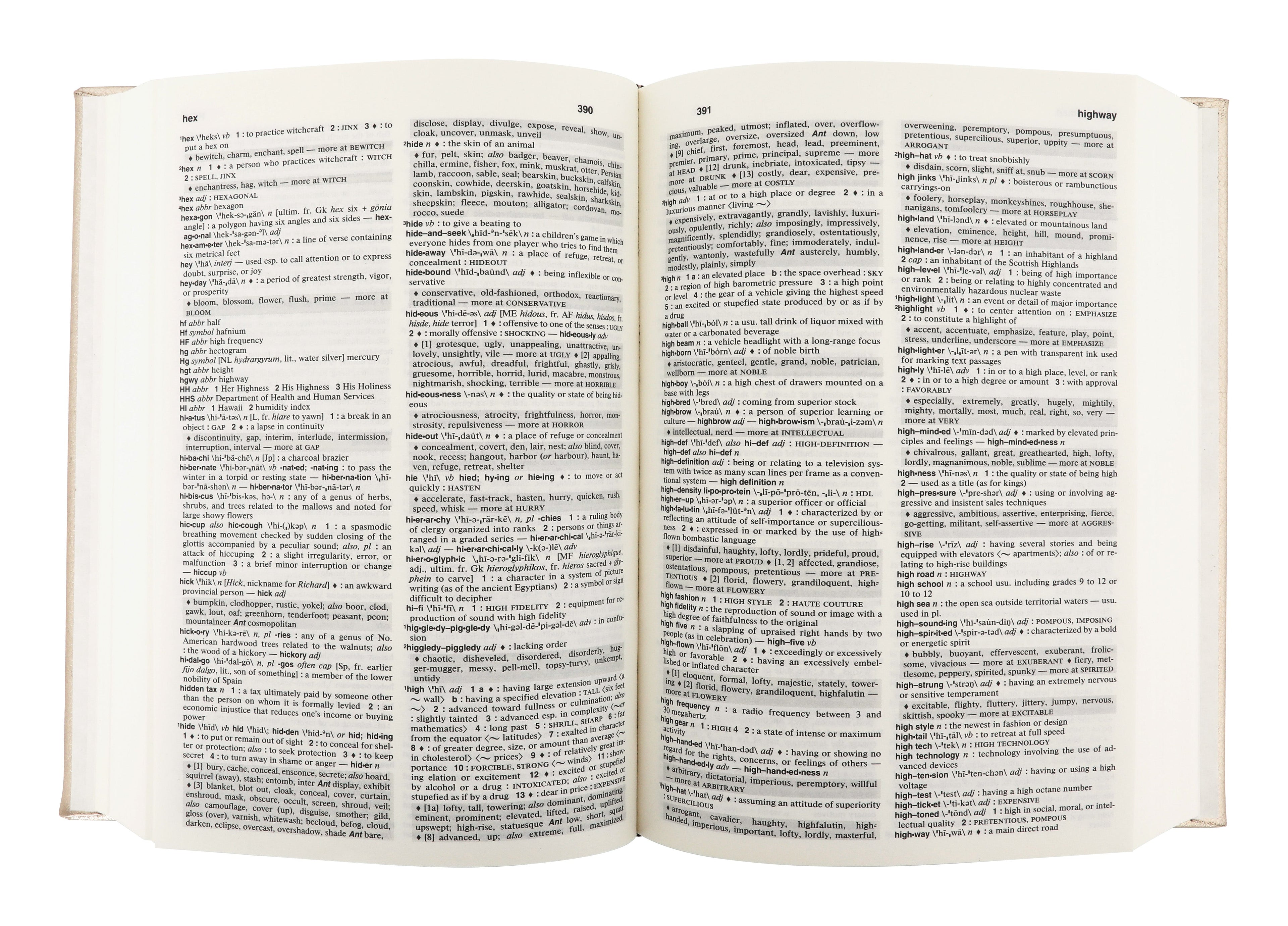 Jayson Home - Vermeil Leather Dictionary & Thesaurus