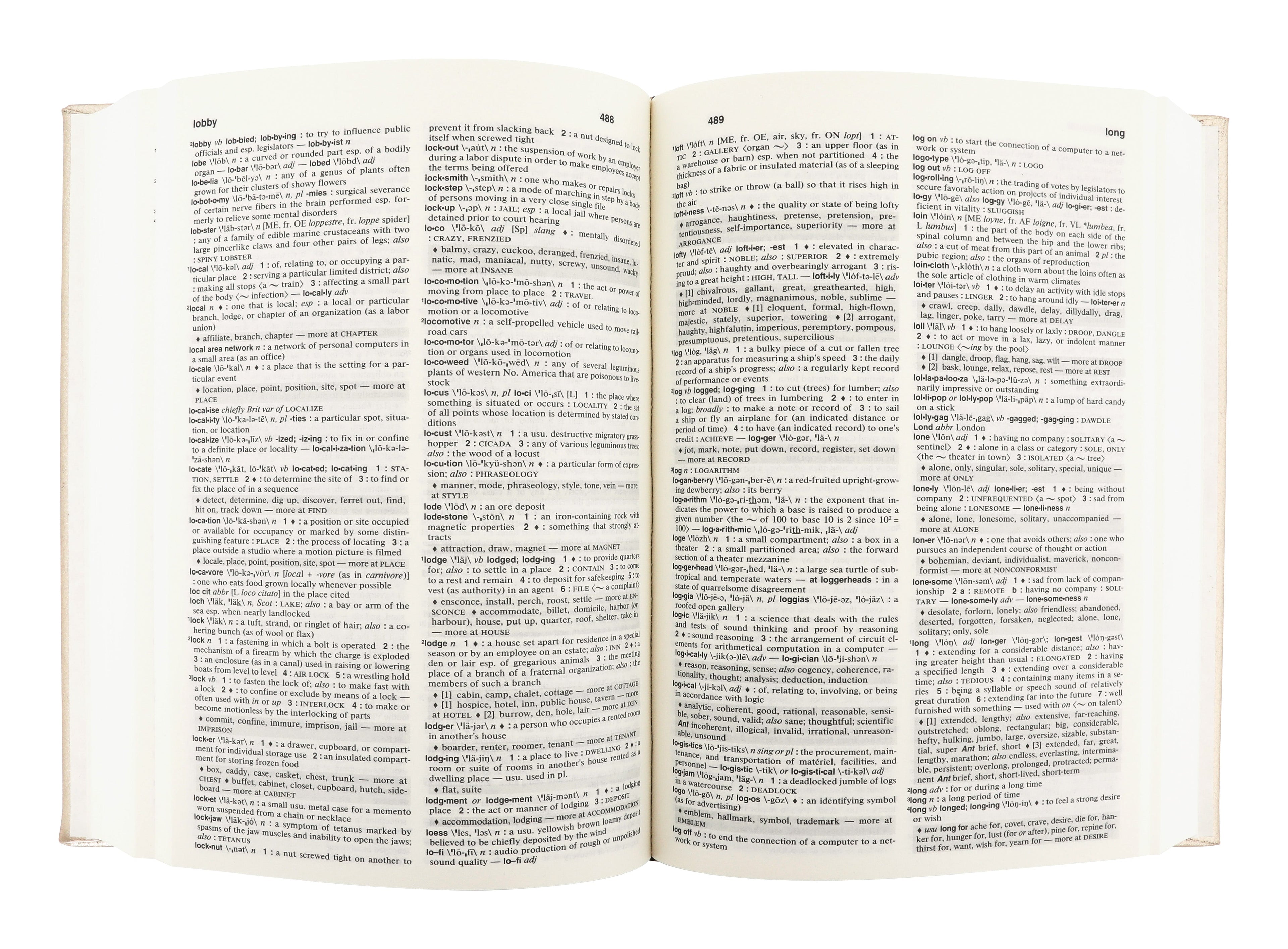 Jayson Home - Vermeil Leather Dictionary & Thesaurus