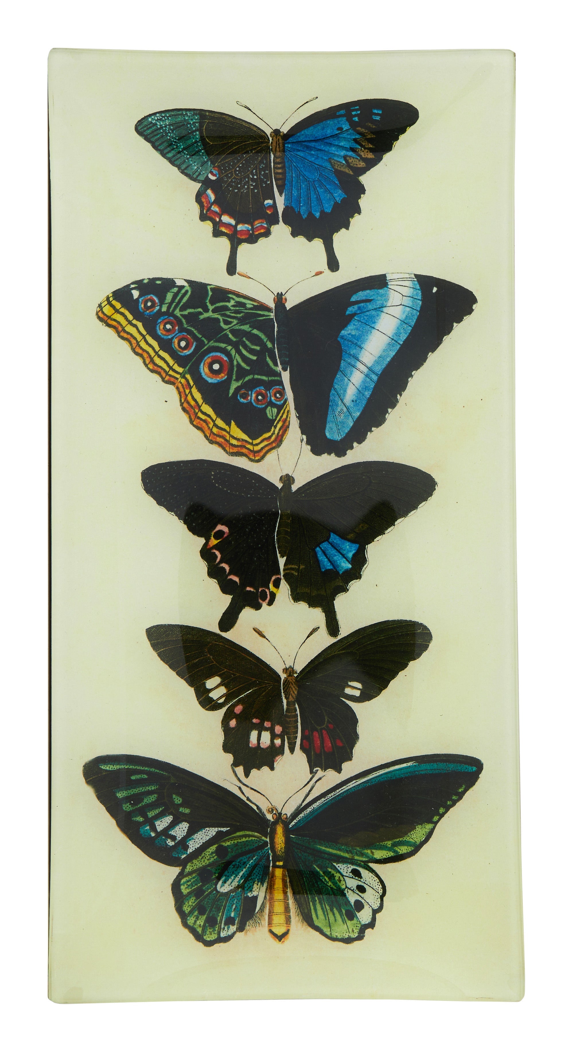 Jayson Home - Five Winged Pencil Tray