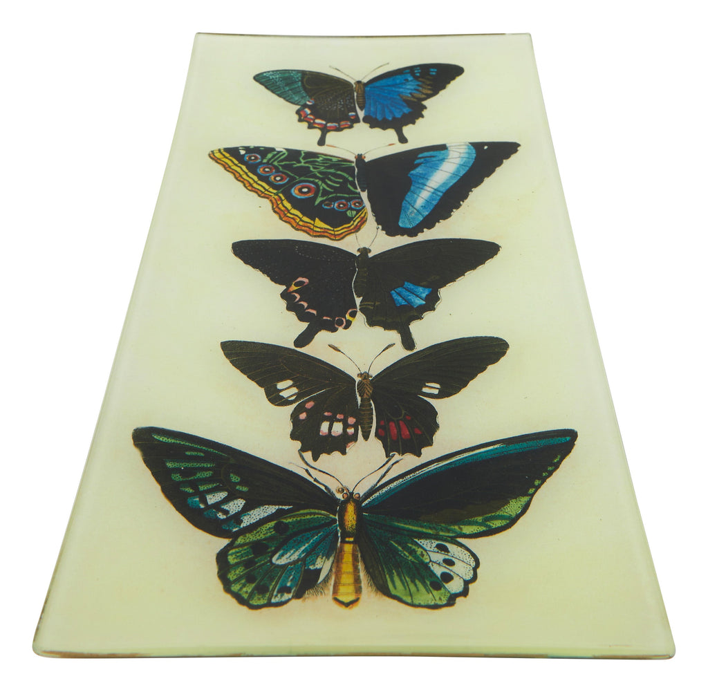 Jayson Home - Five Winged Pencil Tray