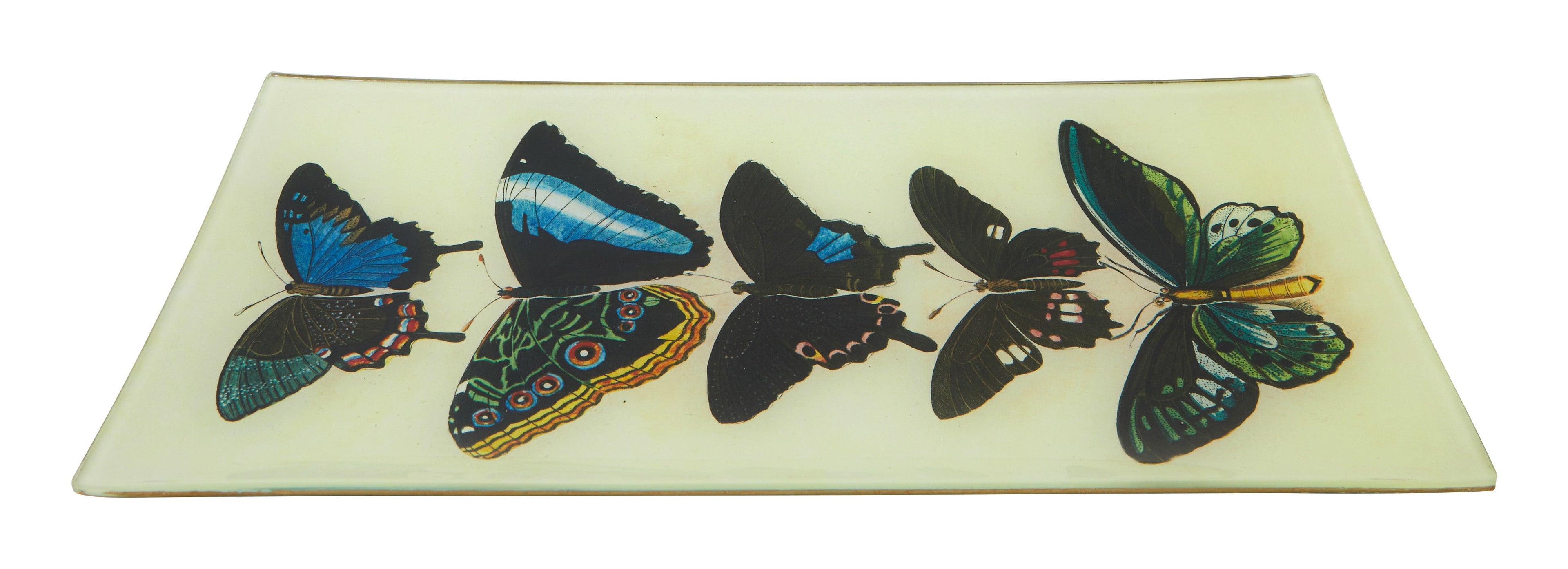 Jayson Home - Five Winged Pencil Tray