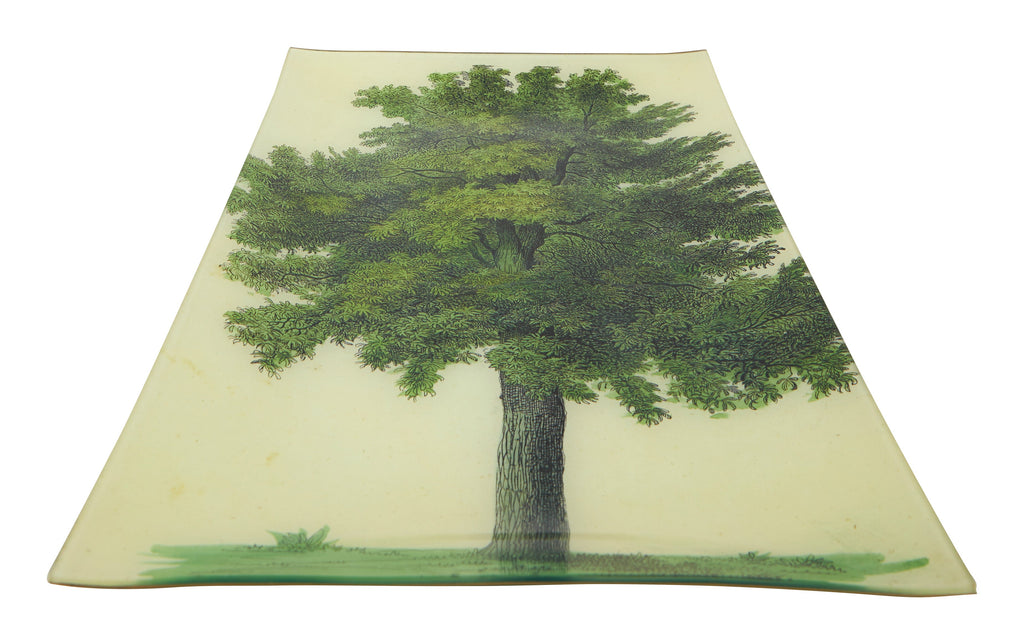 Jayson Home - Oak Tree Tray