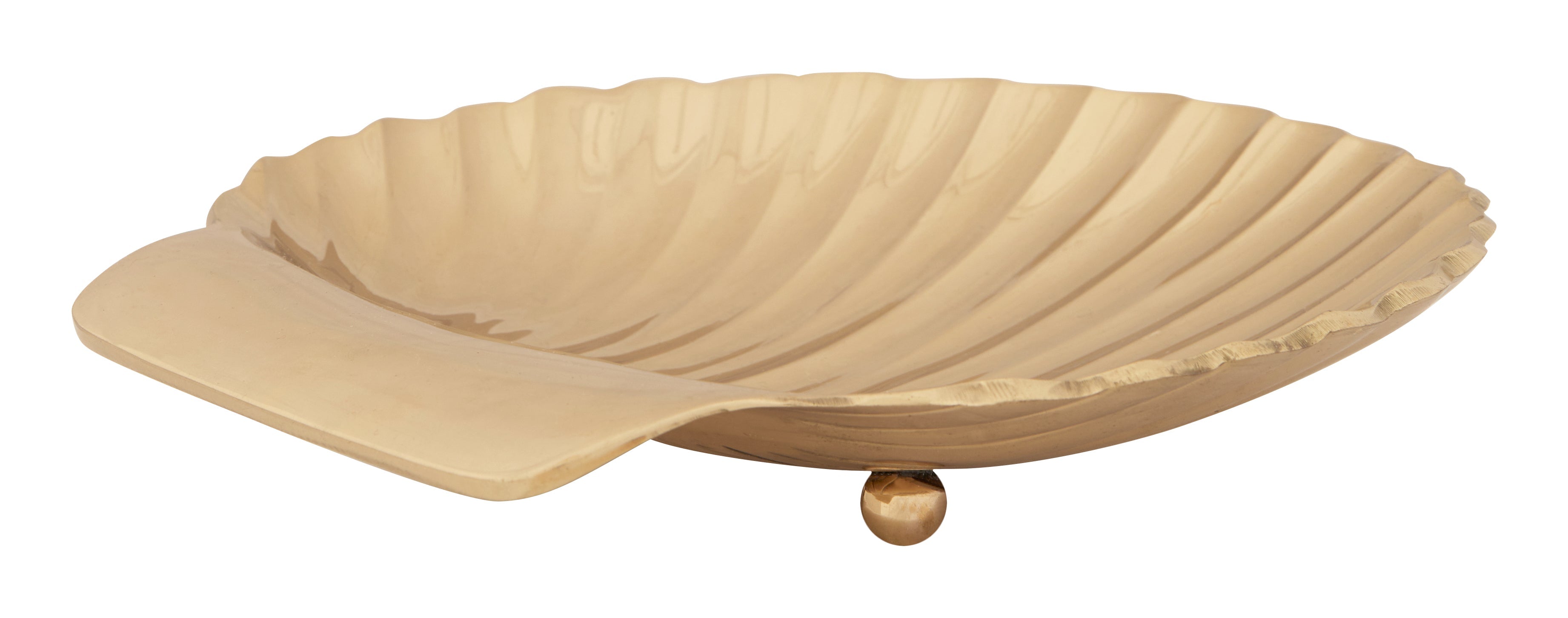 Jayson Home - Brass Shell