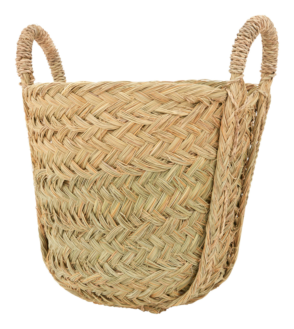 Jayson Home - Nador Baskets
