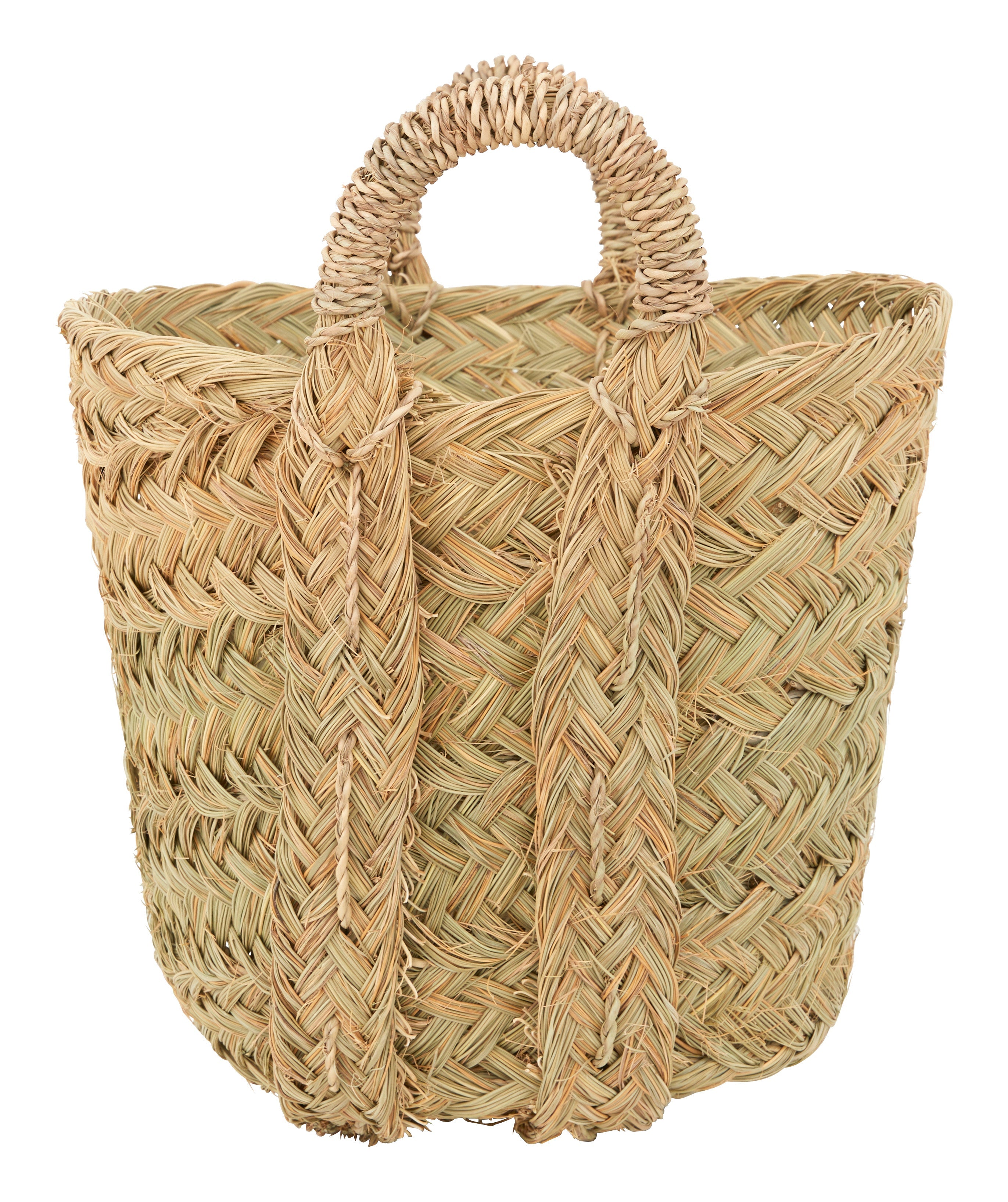 Jayson Home - Nador Baskets