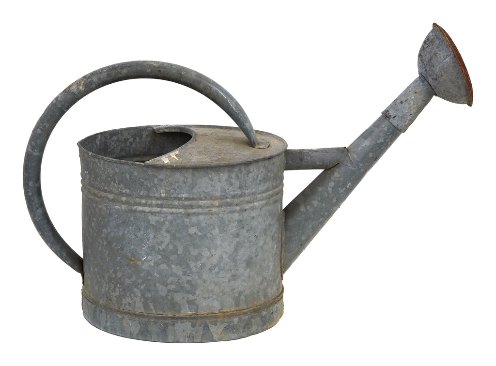 Jayson Home - Vintage French Rose Head Watering Can