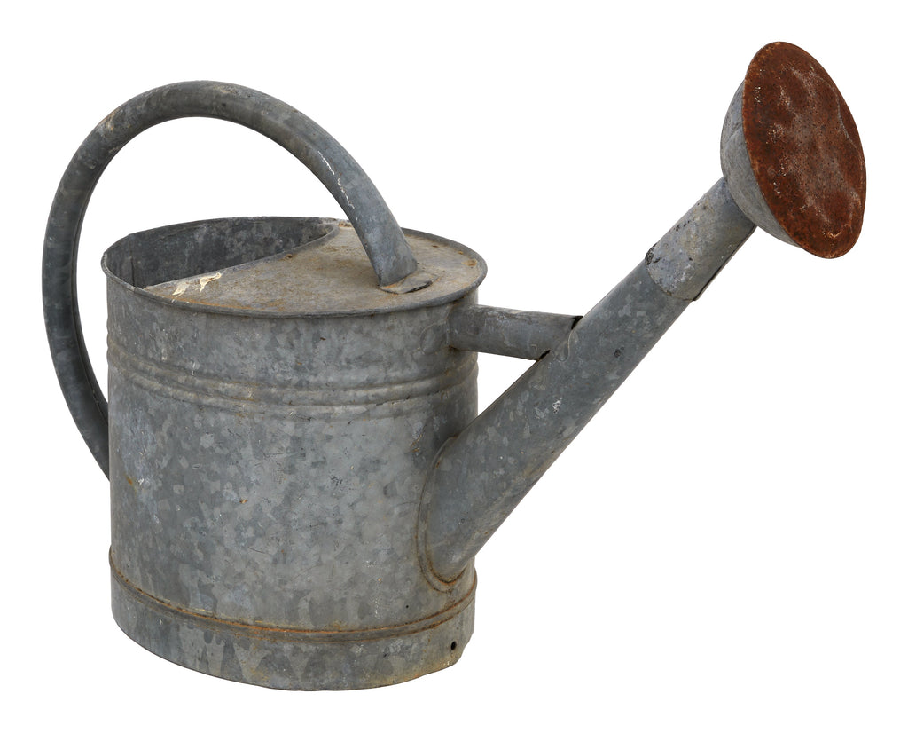 Jayson Home - Vintage French Rose Head Watering Can