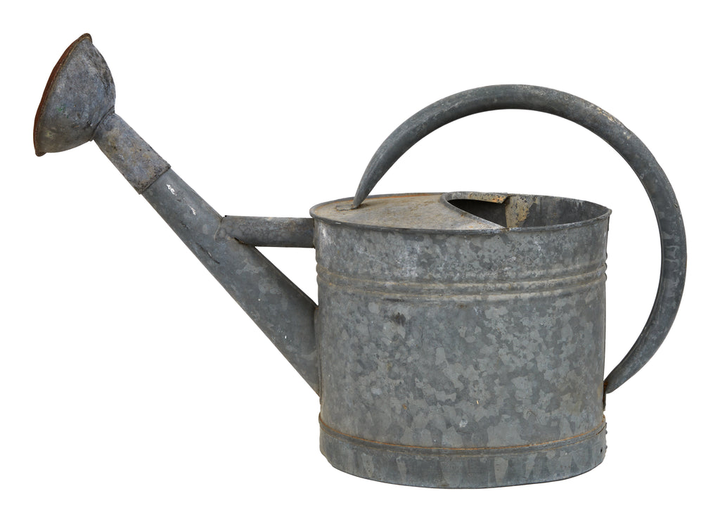 Jayson Home - Vintage French Rose Head Watering Can