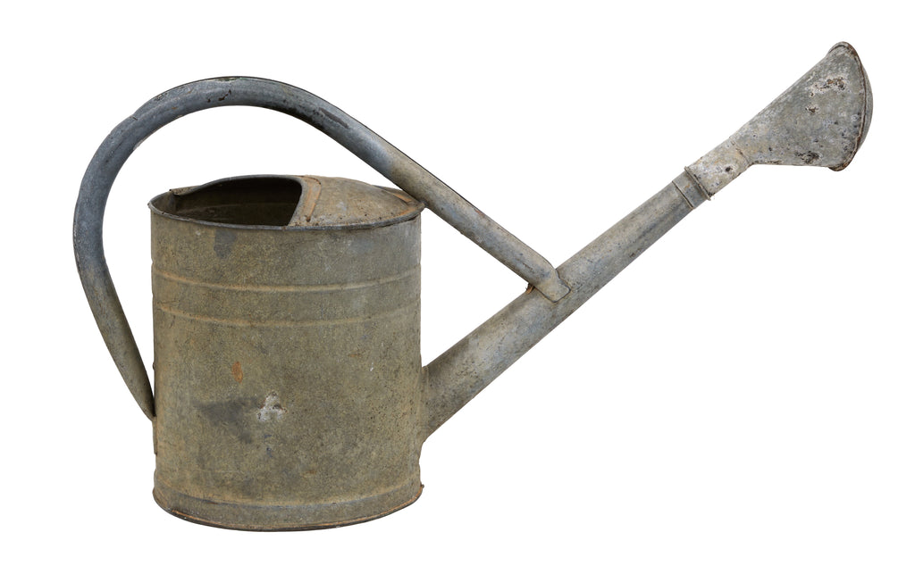 Jayson Home - Vintage French Rose Head Watering Can