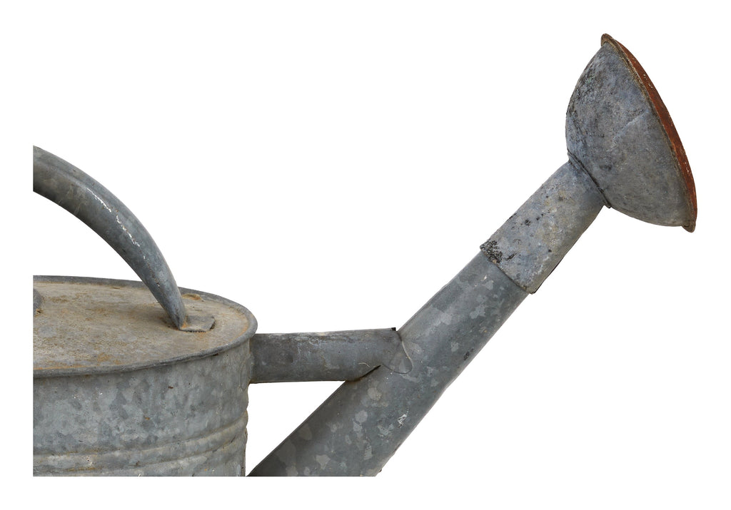Jayson Home - Vintage French Rose Head Watering Can