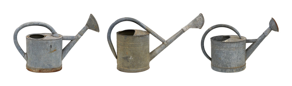 Jayson Home - Vintage French Rose Head Watering Can