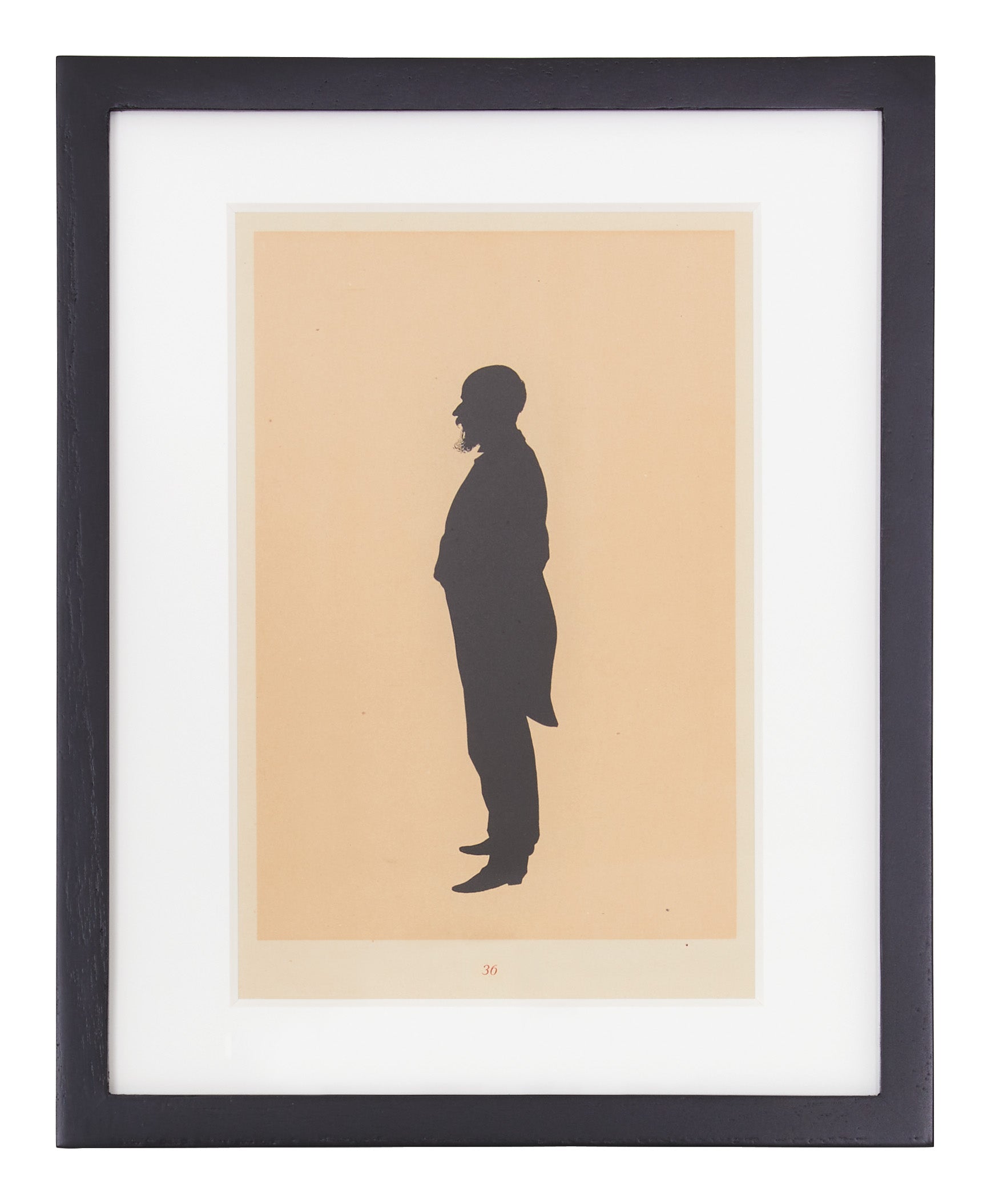 Jayson Home - Vintage Avocat Silhouette